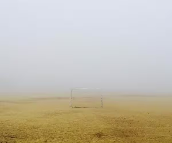 field-600x500 Foggy Fields