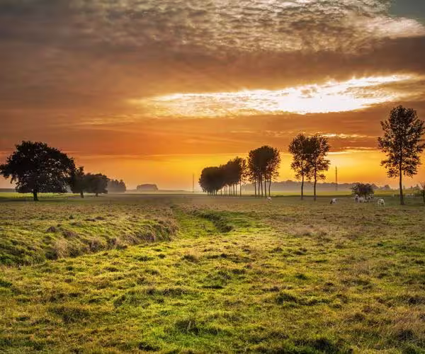 sunset-600x500 Sunset over a farmers field